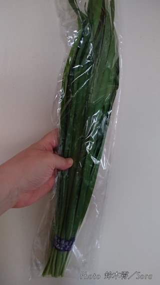 IMG06021_HDR