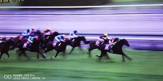 IMG_20210919_153948