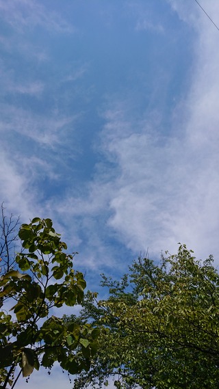 DSC_0611