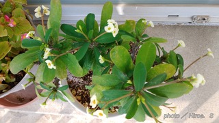 IMG01796_HDR