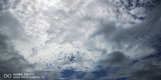IMG_20210928_094849_1