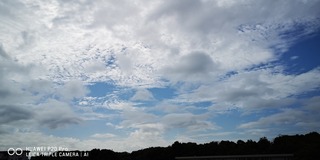 IMG_20210928_094847