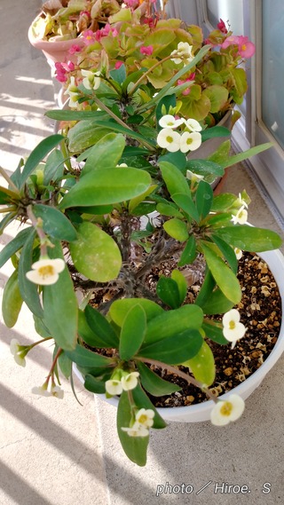 IMG01797_HDR