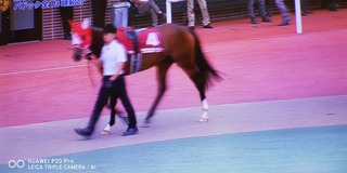 IMG_20210822_151959