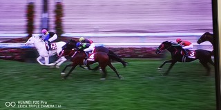 IMG_20210822_154843