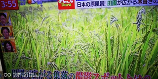 IMG_20210827_155527