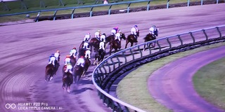 IMG_20210919_154640