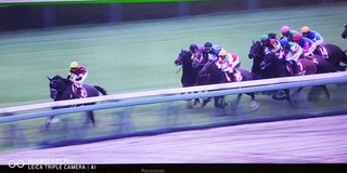 IMG_20210919_153921
