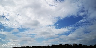 IMG_20210928_094904