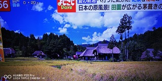 IMG_20210827_155637