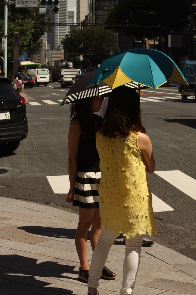 銀座ファッションチェック15夏 仮 すずまん店長のお仕事 日記 銀座ファッションチェック15夏 仮 すずまん店長のお仕事 日記