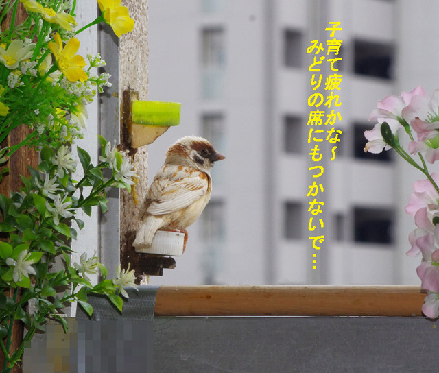 0512tukare