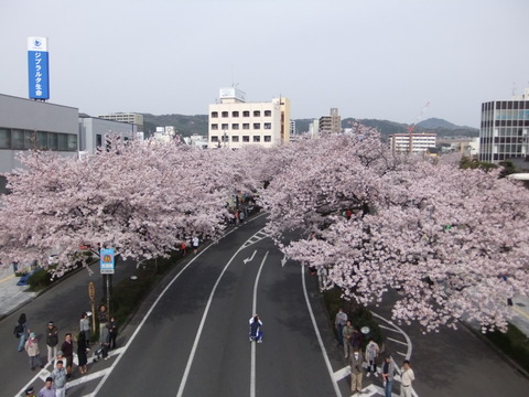 DSCF0563
