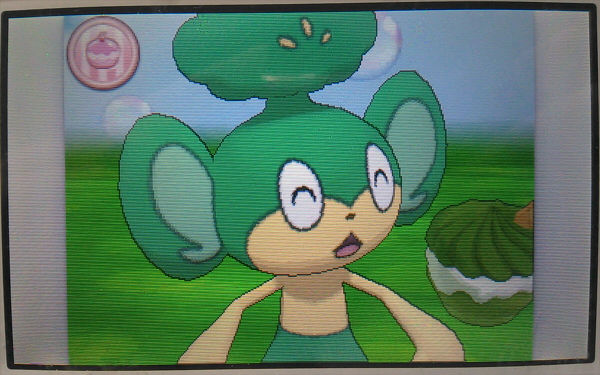 はぴねすのもり ポケモン