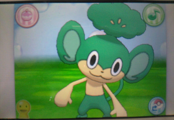 はぴねすのもり ポケモン