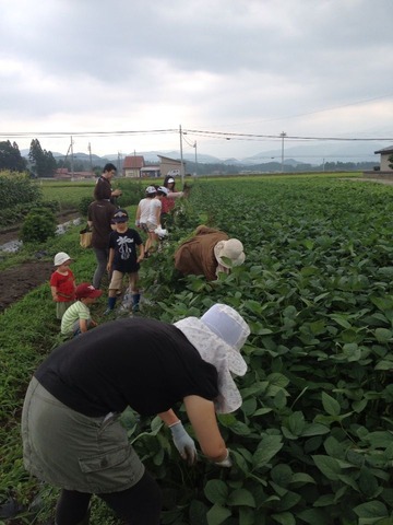 2014-07-31-10-35-44