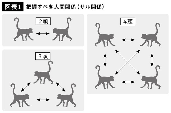 サル関係