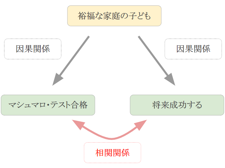 因果関係と相関関係の混同マシュマロ・テストの闇