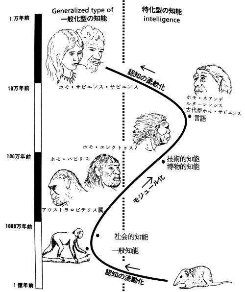 人間の知能の進化