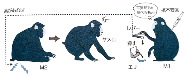 ベンゾジアゼピンの行動薬理学的効果