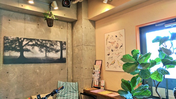 公式ホームページをリニューアルしました。