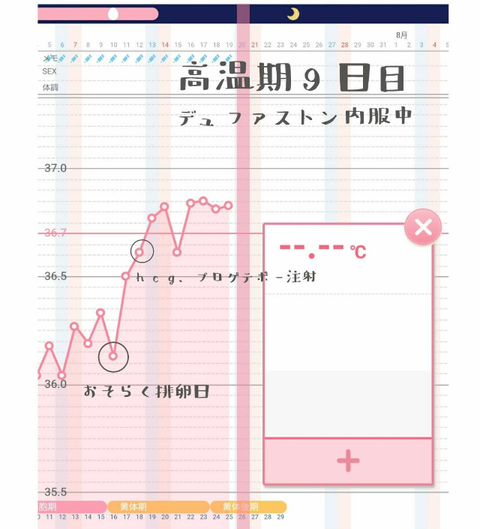 高温期9日目 32才妊活記録