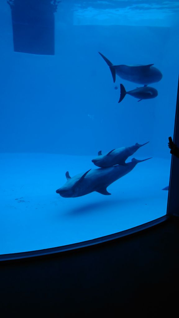 名古屋港水族館とガーデンふ頭 死亡フラグにご用心