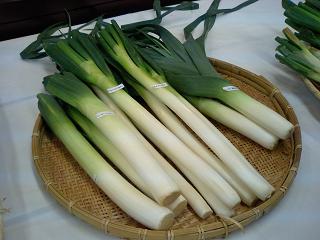葱セミナー 仮 本部の鈴木です