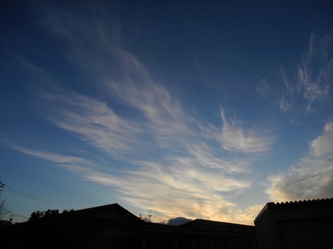 DSCN6180