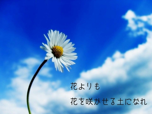 34496320