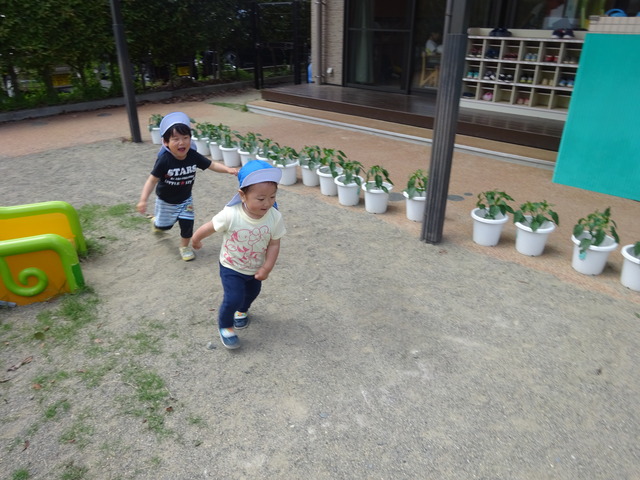 DSC04440