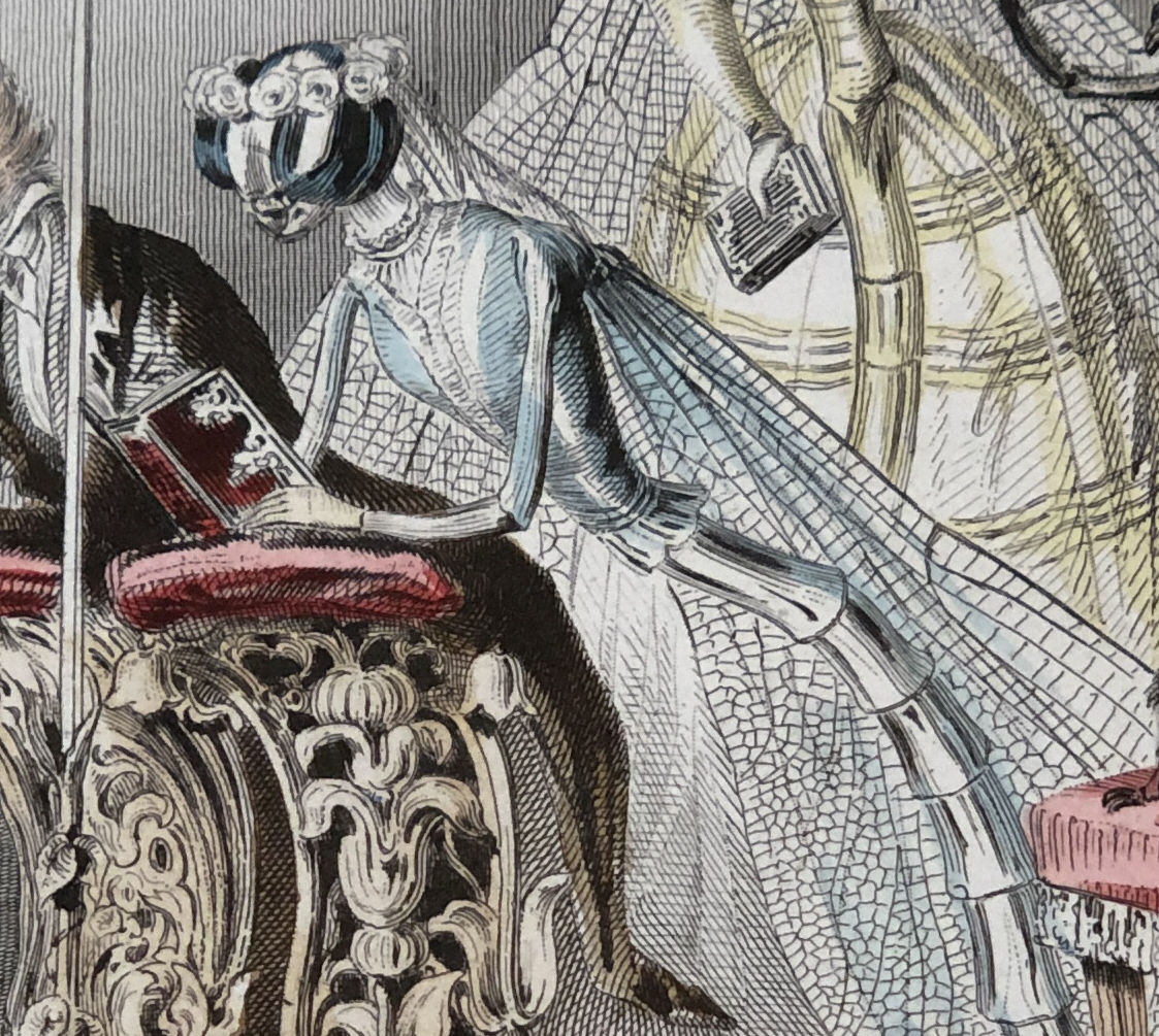 フランスアンティーク アメデ・ヴァラン パピヨン 1852年 銅版画