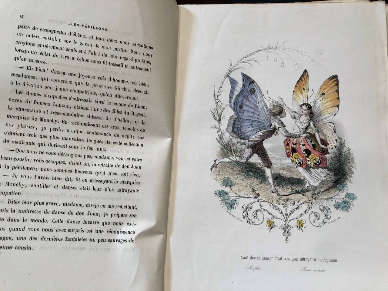 フランスアンティーク アメデ・ヴァラン パピヨン 1852年 銅版画