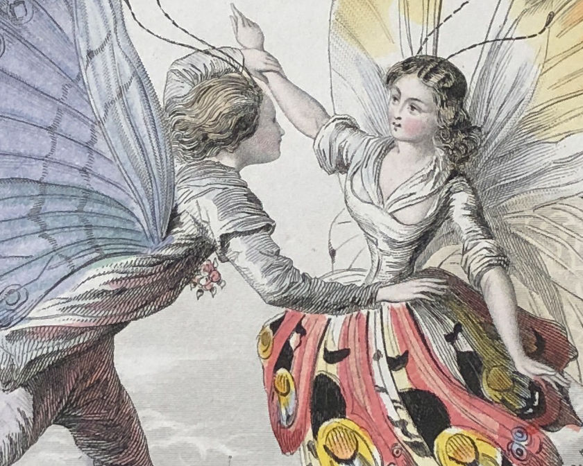 フランスアンティーク アメデ・ヴァラン パピヨン 1852年 銅版画