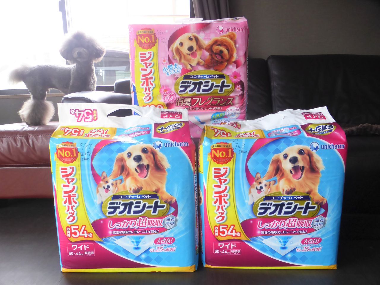 保護犬への支援物資 Sweet Dog S 保護犬への支援物資 Sweet Dog S