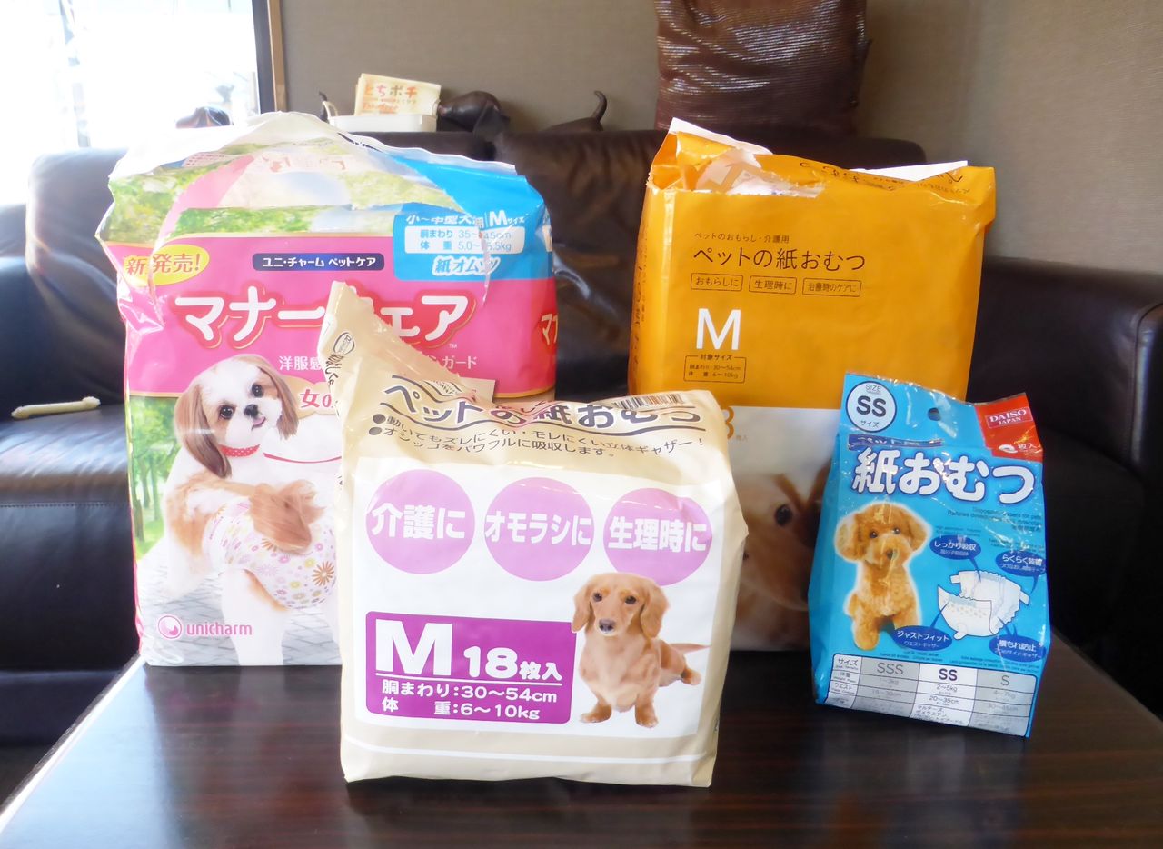 保護犬への支援物資 Sweet Dog S