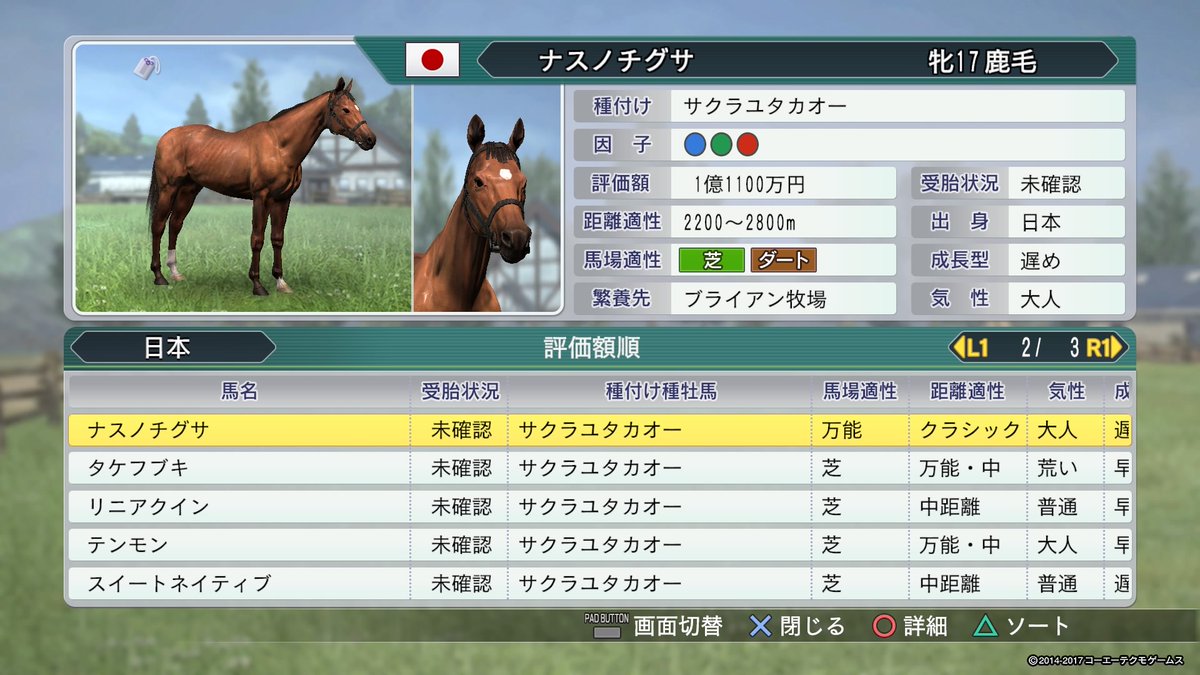 サクラユタカオー 系統確立 サクラユタカオー 系統確立