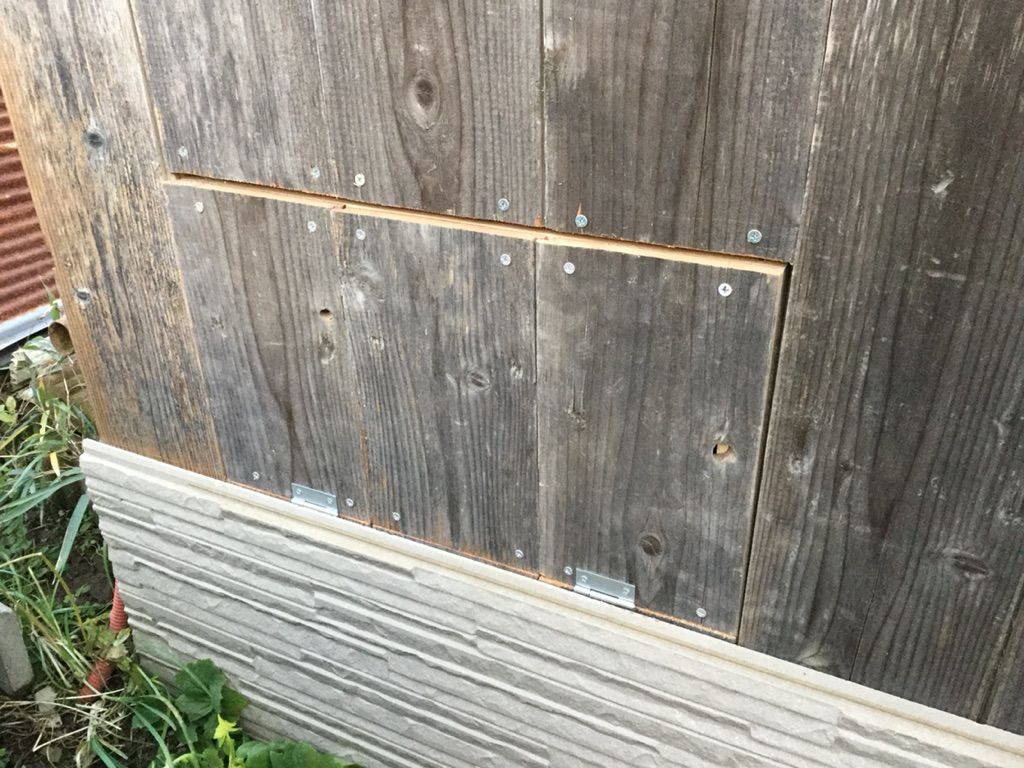 Diy 小屋の外から卵を収穫出来るのって最高だよ 古いにわとり小屋にも卵収穫用の小窓を付けたよ 最高の農業の見つけ方 Diy 小屋の外から卵を収穫出来るのって最高だよ 古いにわとり小屋にも卵収穫用の小窓を付けたよ 最高の農業の見つけ方