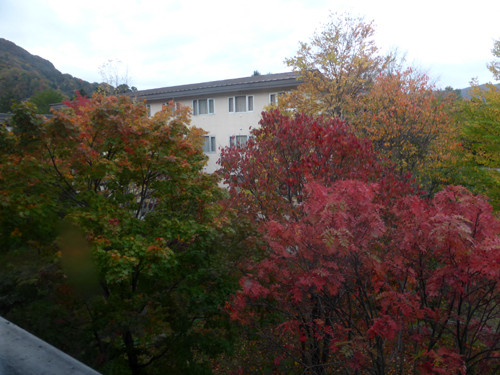 2018011410ホテル部屋からの紅葉の眺め