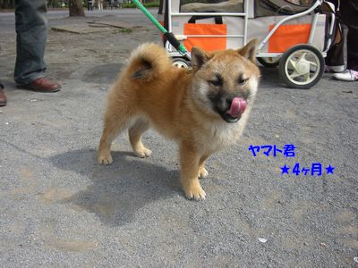 040507