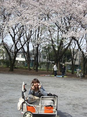 040502