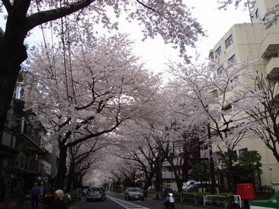 040401