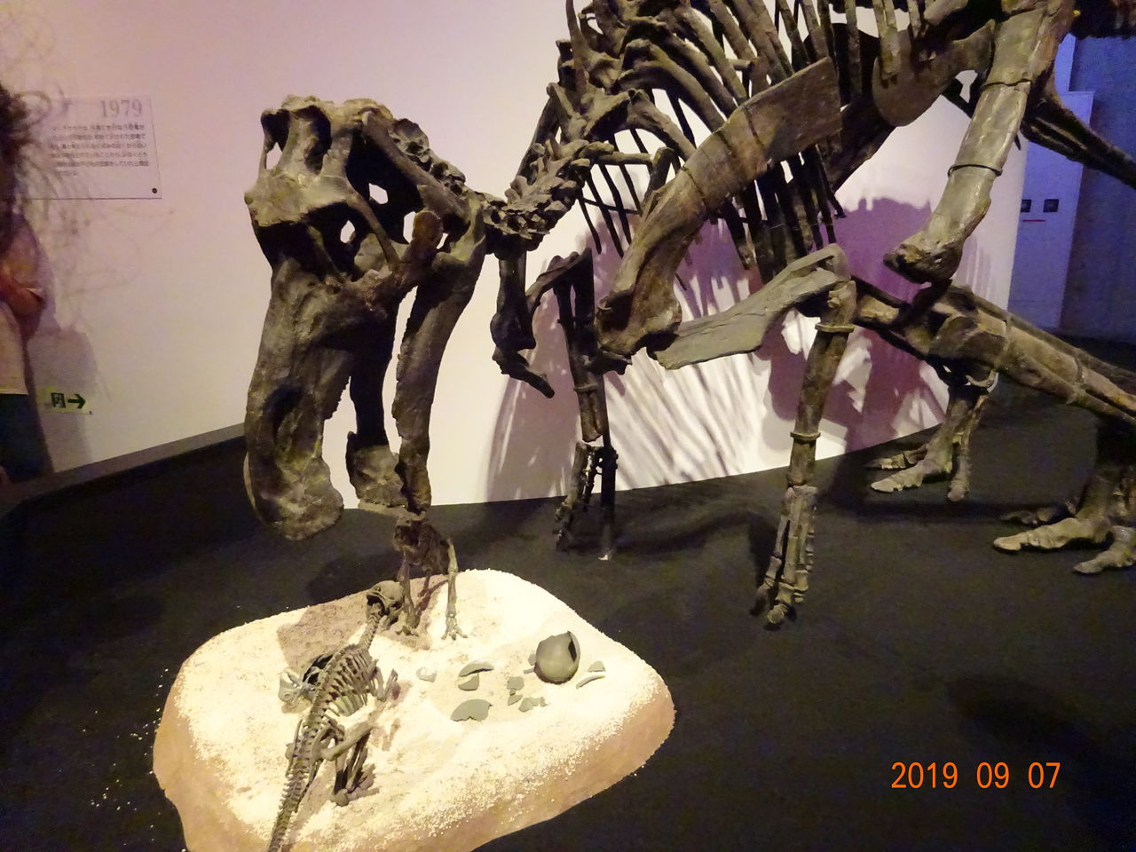 19 9 18 恐竜6 デイノケイルスとサンチュウリュウ 歴史探訪