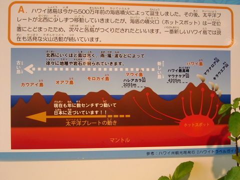 フォッサマグナと西之島 歴史探訪