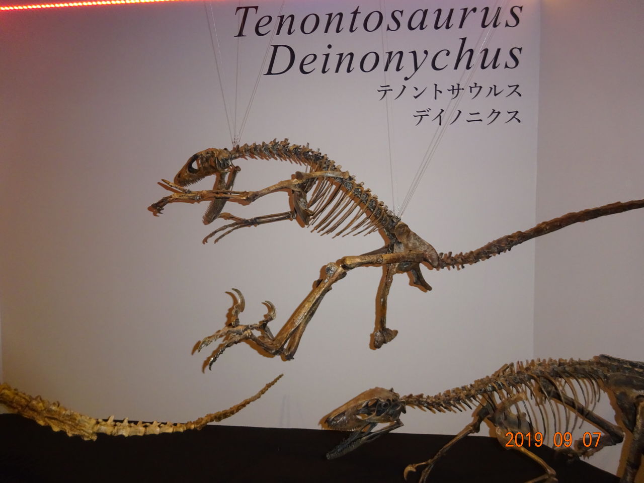 19年09月 歴史探訪 19年09月 歴史探訪