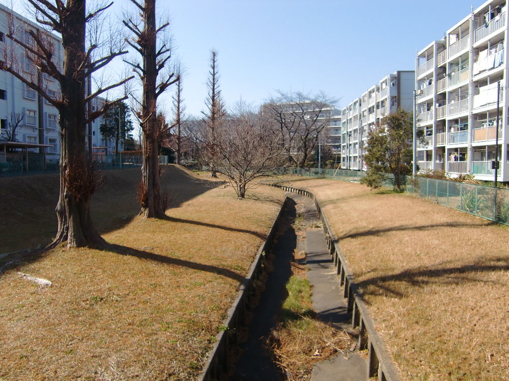 武蔵野台地と湧水71 山王窪2 : 歴史探訪