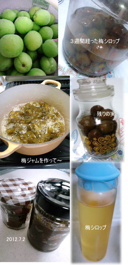 2012_7_2umejamu