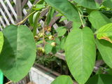 DSCN2083