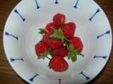 DSCN2094
