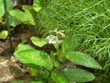 DSCN2081